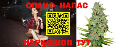 стафф Малоярославец