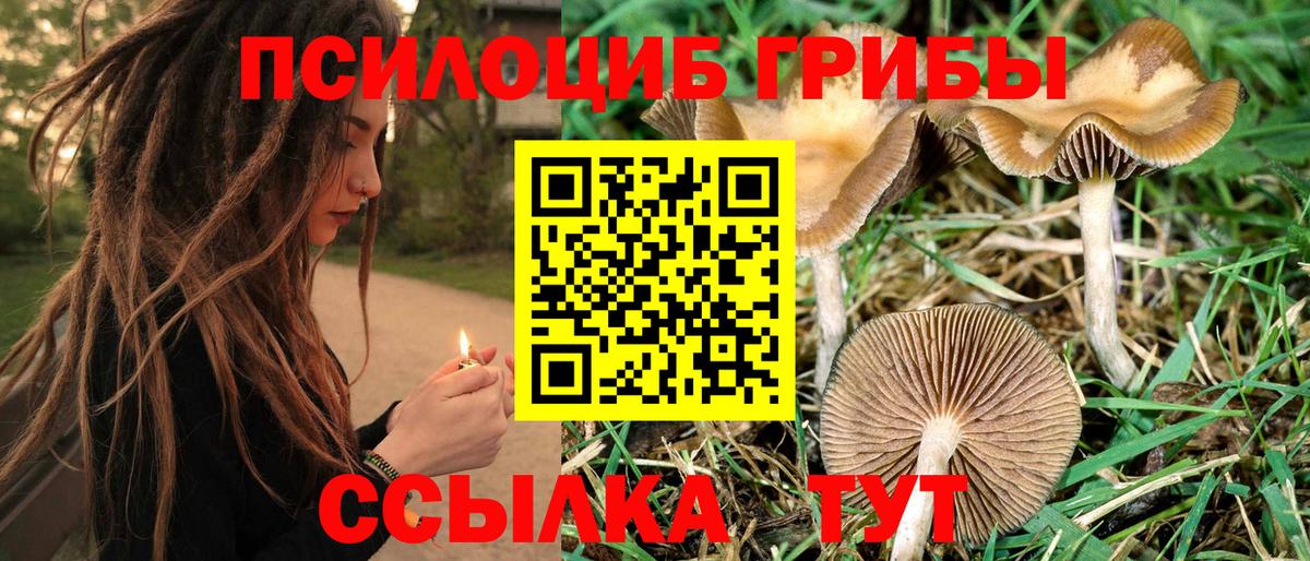 Галлюциногенные грибы ЛСД Холмск